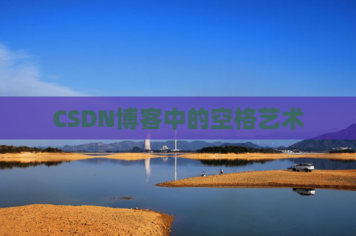 CSDN博客中的空格艺术